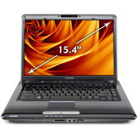 Toshiba A305-S6861