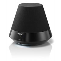 Sony SA-NS310