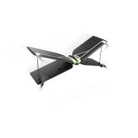 Parrot Swing