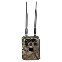 Covert Scouting Cameras Code Black LTE