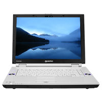 Toshiba F45-AV423