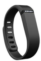 Fitbit Flex